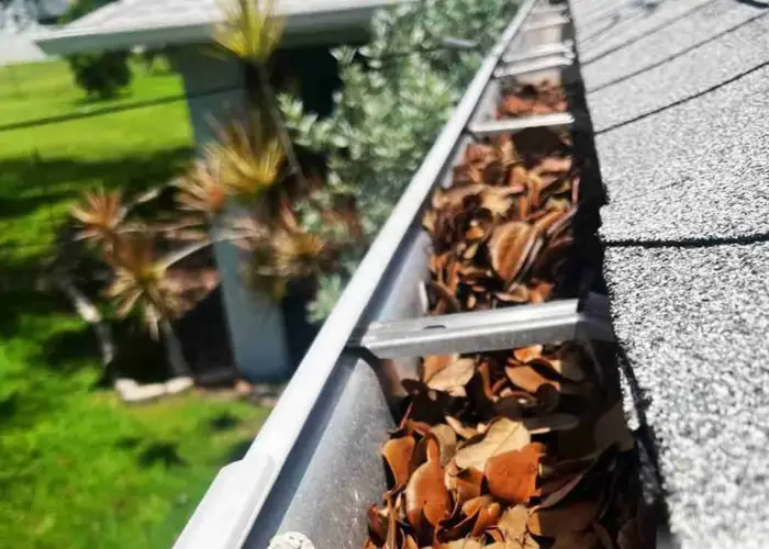 Raleigh gutter cleaning home page